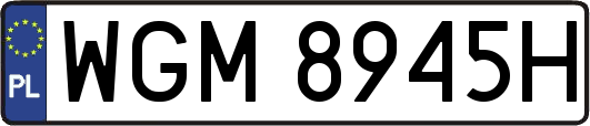 WGM8945H