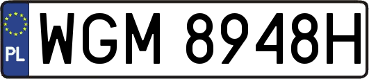 WGM8948H
