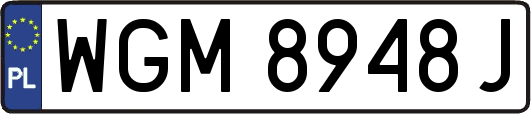 WGM8948J