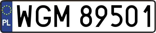 WGM89501