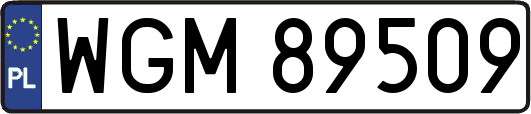 WGM89509