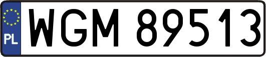 WGM89513