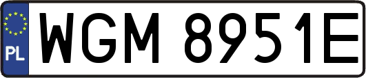 WGM8951E