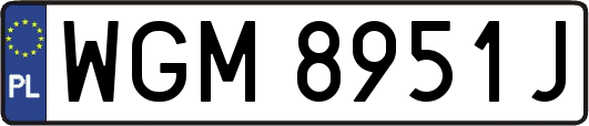 WGM8951J