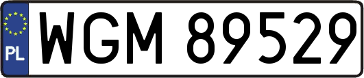 WGM89529