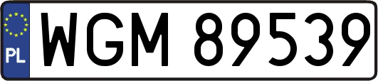 WGM89539