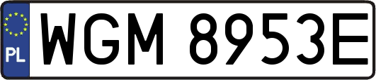 WGM8953E