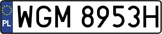 WGM8953H