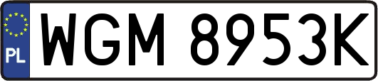 WGM8953K