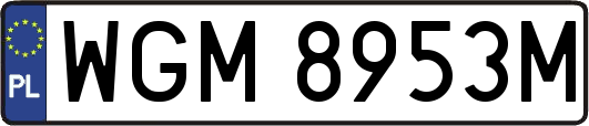 WGM8953M