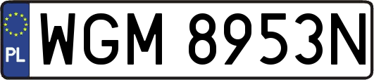 WGM8953N