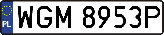 WGM8953P