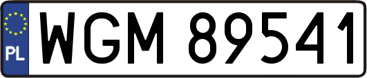 WGM89541