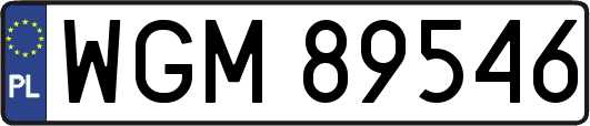 WGM89546