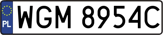 WGM8954C
