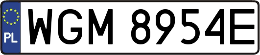 WGM8954E