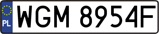 WGM8954F