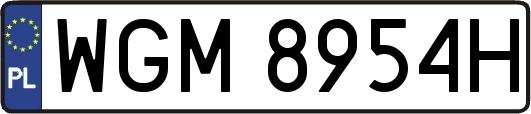 WGM8954H