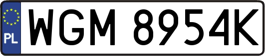 WGM8954K
