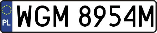 WGM8954M