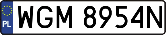 WGM8954N