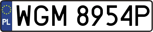 WGM8954P