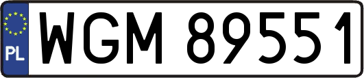 WGM89551