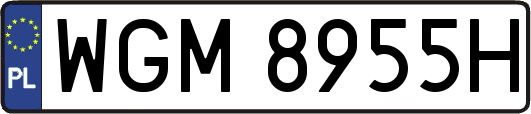 WGM8955H