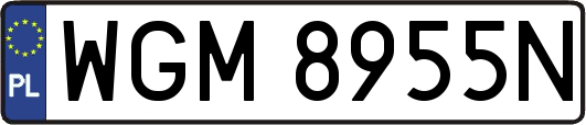 WGM8955N