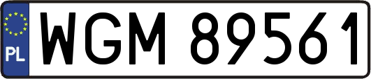 WGM89561