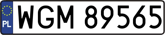 WGM89565