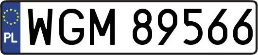 WGM89566