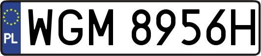 WGM8956H