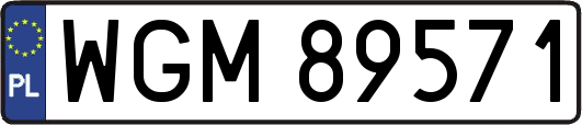 WGM89571