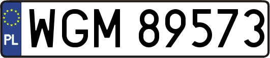 WGM89573