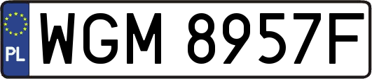 WGM8957F