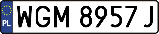WGM8957J