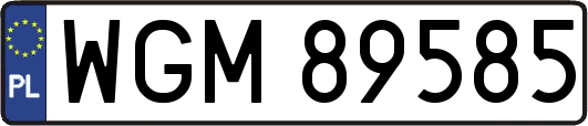 WGM89585