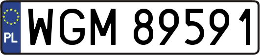 WGM89591