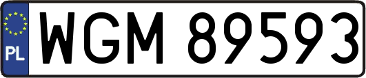 WGM89593