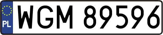 WGM89596