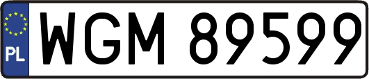 WGM89599