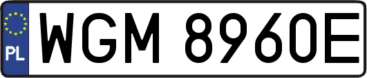 WGM8960E