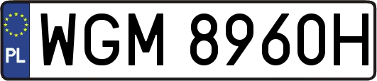 WGM8960H