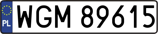 WGM89615
