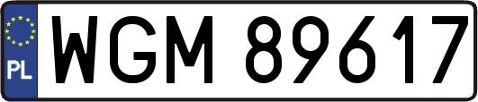 WGM89617