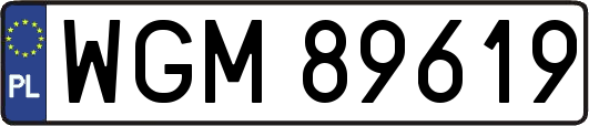 WGM89619