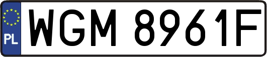 WGM8961F