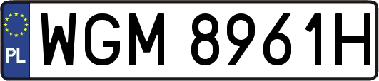 WGM8961H