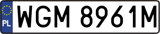 WGM8961M